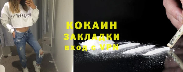 твердый Няндома