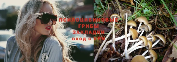 спайс Нязепетровск