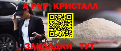 шишки Аргун