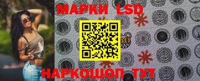 шишки Аргун