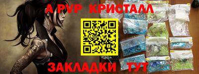 шишки Аргун