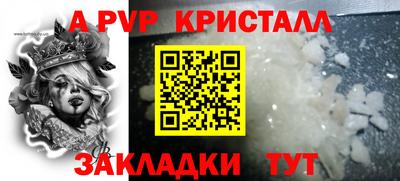 шишки Аргун