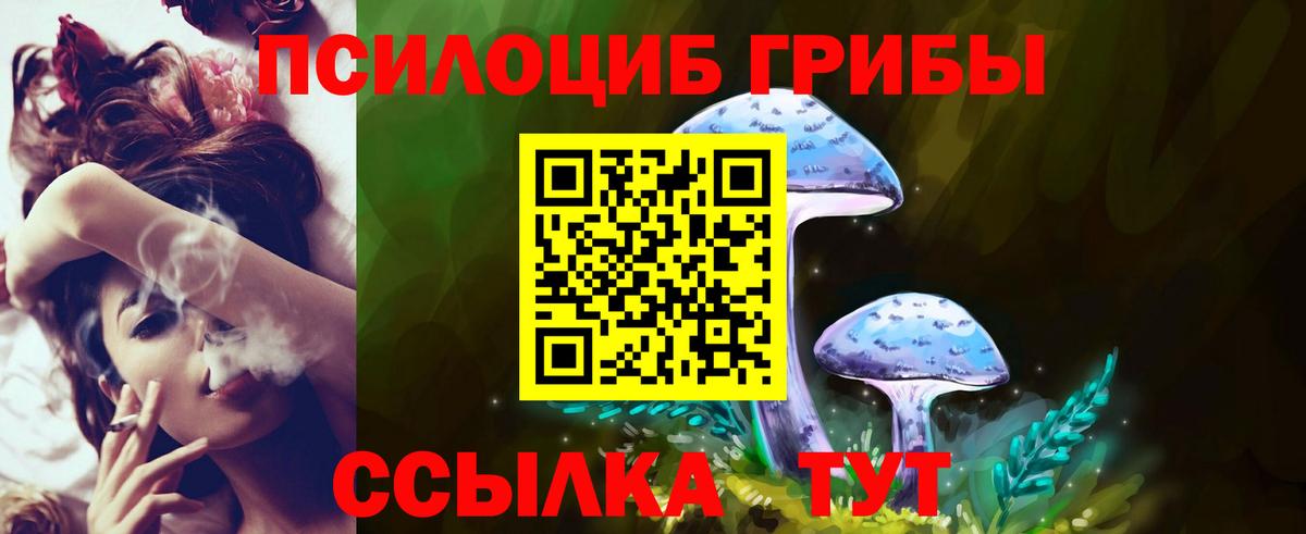 Псилоцибиновые грибы GOLDEN TEACHER  Галлюциногенные грибы ЛСД  Туймазы  Вход с VPN 