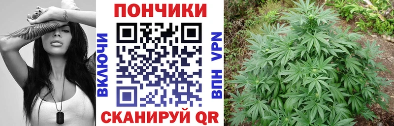 продажа наркотиков  Туймазы  Бошки Шишки план 